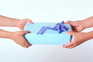 魅力的な胡蝶蘭を販売する通販サイト