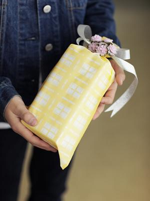 ツムラの猪苓湯は通販で入手して常備