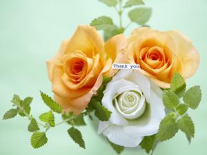 米沢牛は通販で購入する事ができる