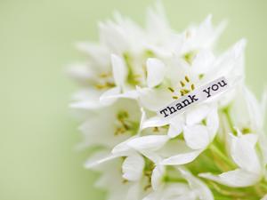 日本1おいしいお米通販はいかが