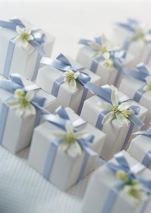 簡単にドッグフード購入が可能な通販